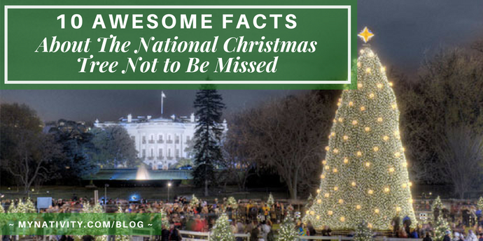 10 Awesome Facts About The National Christmas Tree Not to Be Missed