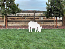 Load image into Gallery viewer, Complete Large Outdoor Nativity Set - MyNativity