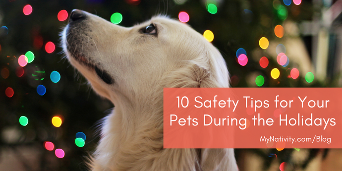 10 Safety Tips for Your Pets During the Holidays