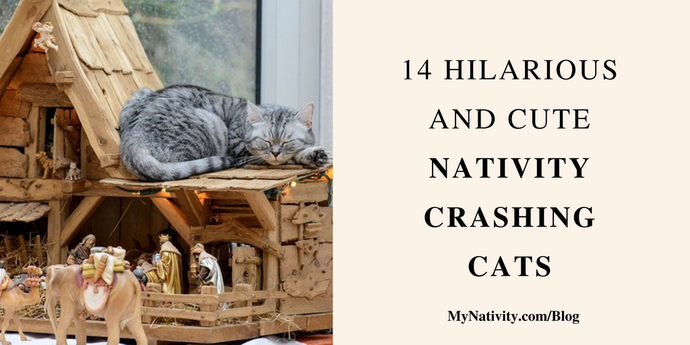 14 Hilarious and Cute Nativity Crashing Cats