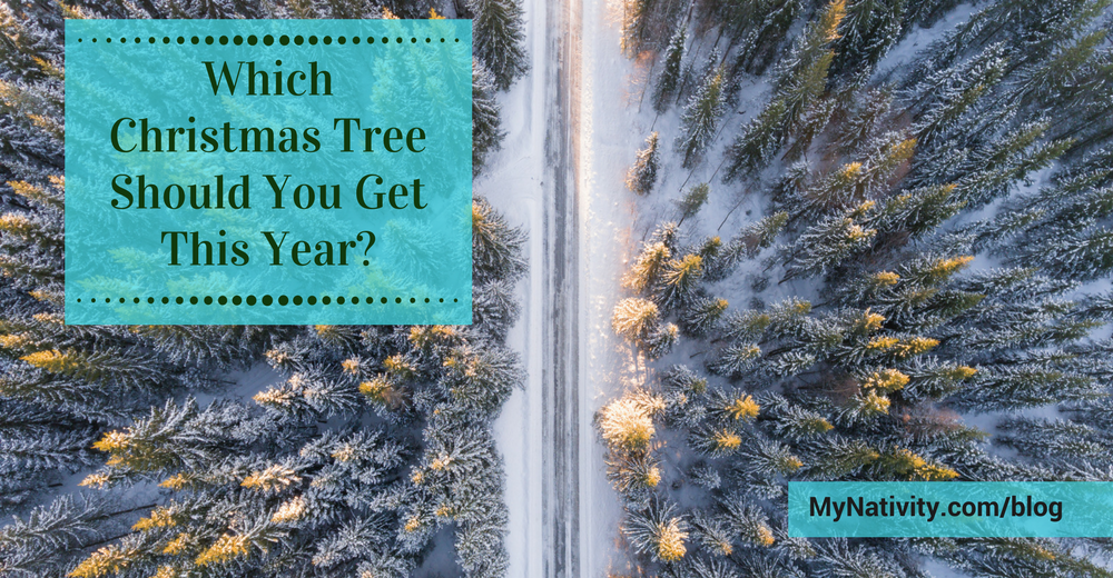 Which Christmas Tree Should You Get This Year? MyNativity
